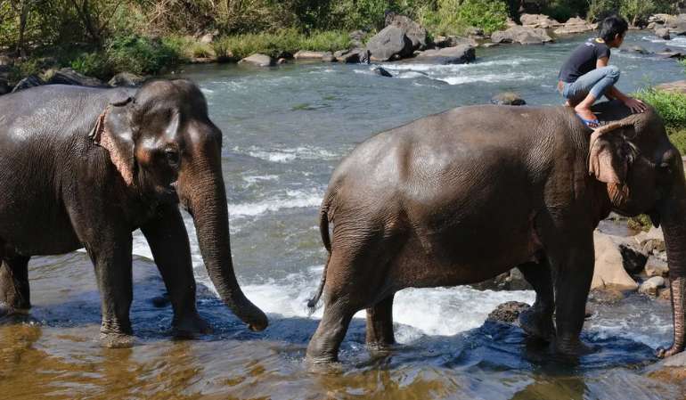 Night market in Luang Prabang 