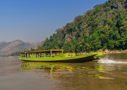 Friendly green cruise blending in nature